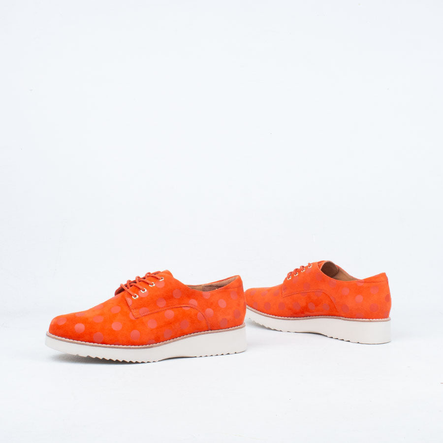Addiction Lace Up Addiction Lace Up