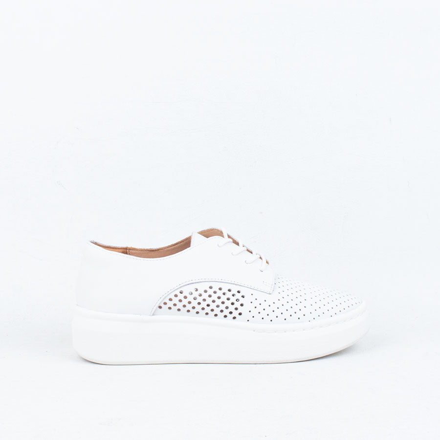 Derby City Punch Sneaker Derby City Punch Sneaker