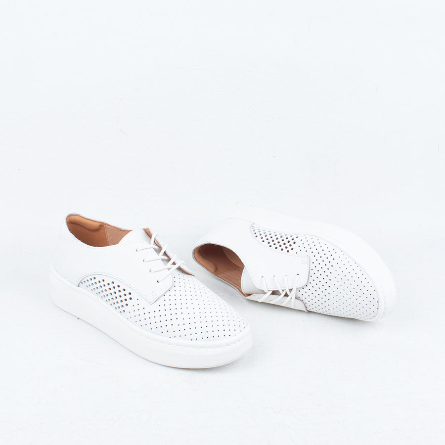 Derby City Punch Sneaker Derby City Punch Sneaker