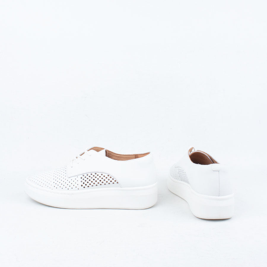 Derby City Punch Sneaker Derby City Punch Sneaker