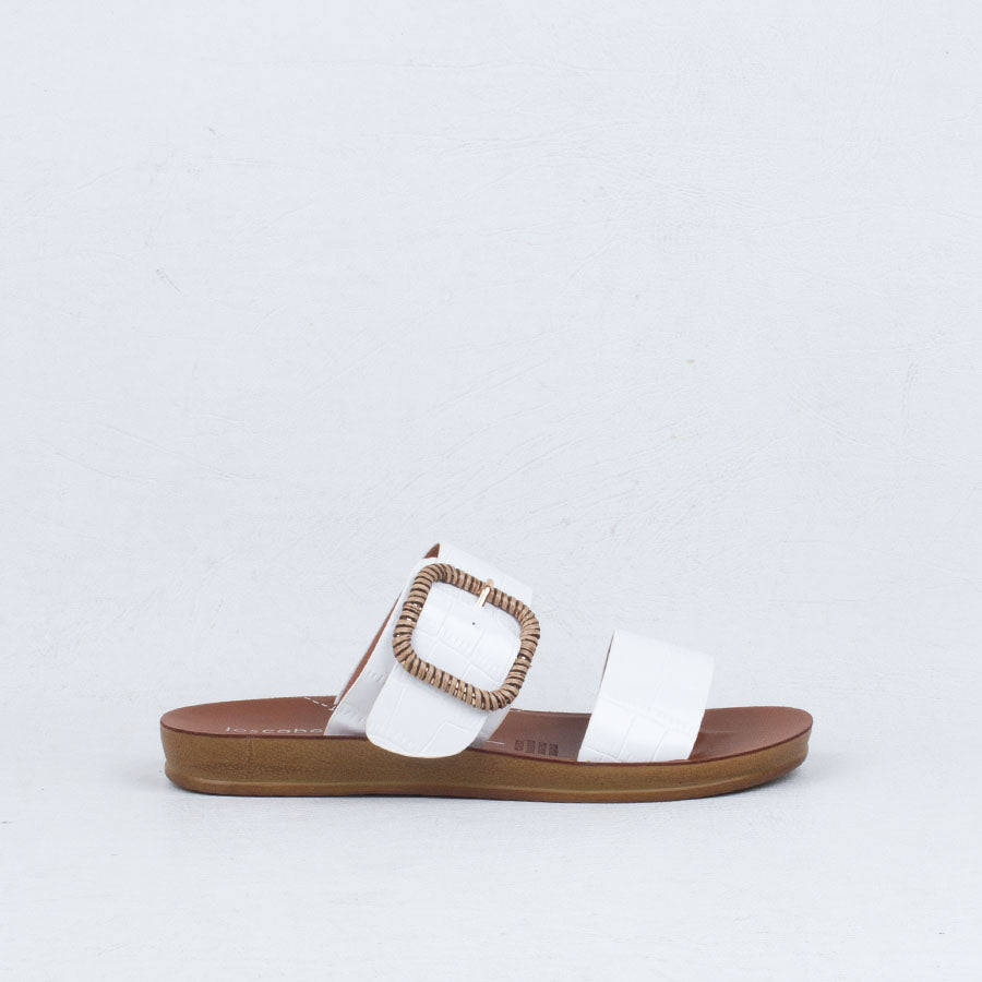 Briti Slide Briti Slide