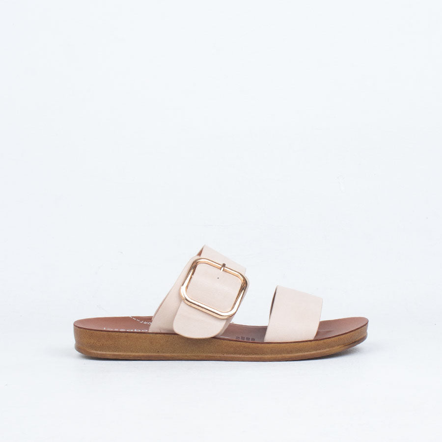 Doti Slide Doti Slide