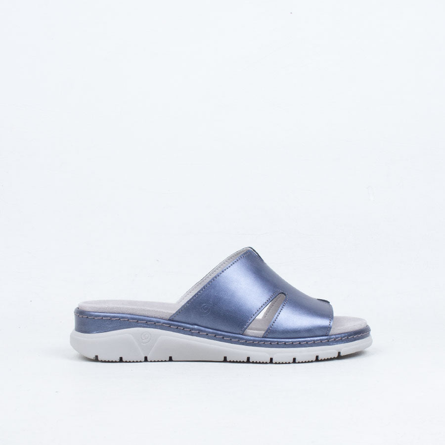 Eevi Slide Eevi Slide