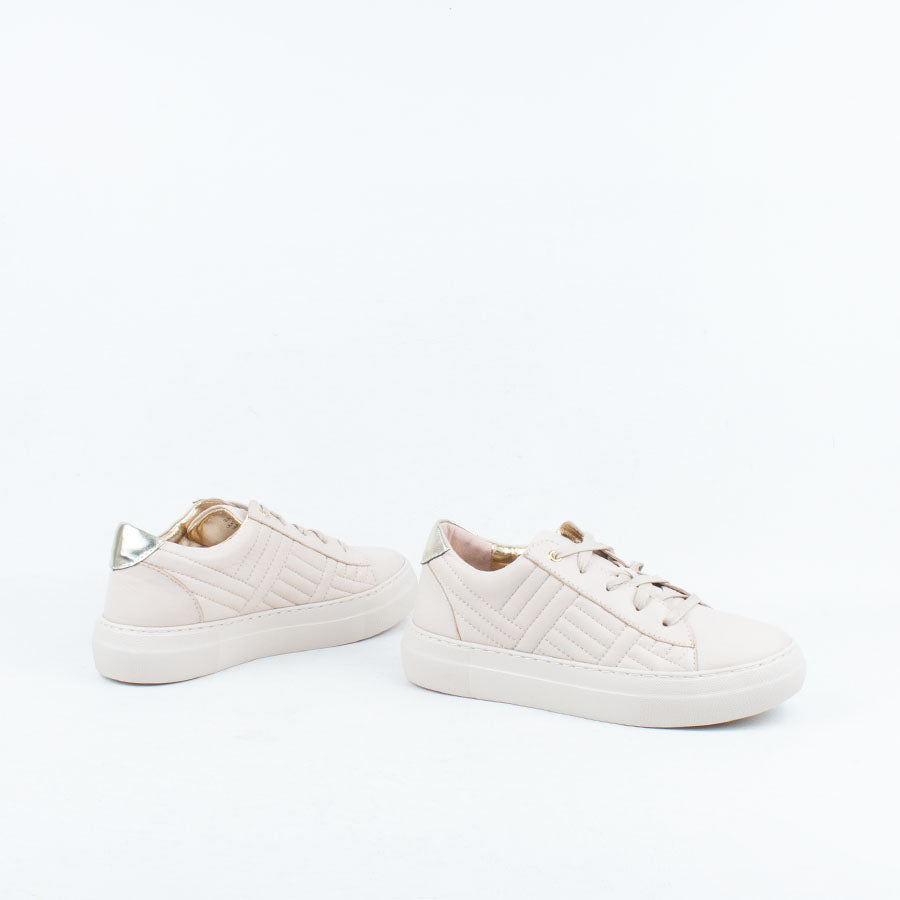 Zip Sneaker Zip Sneaker