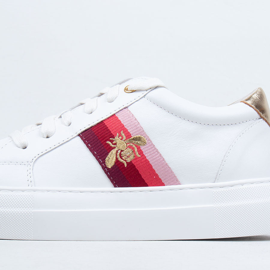 Zonk Sneaker Zonk Sneaker