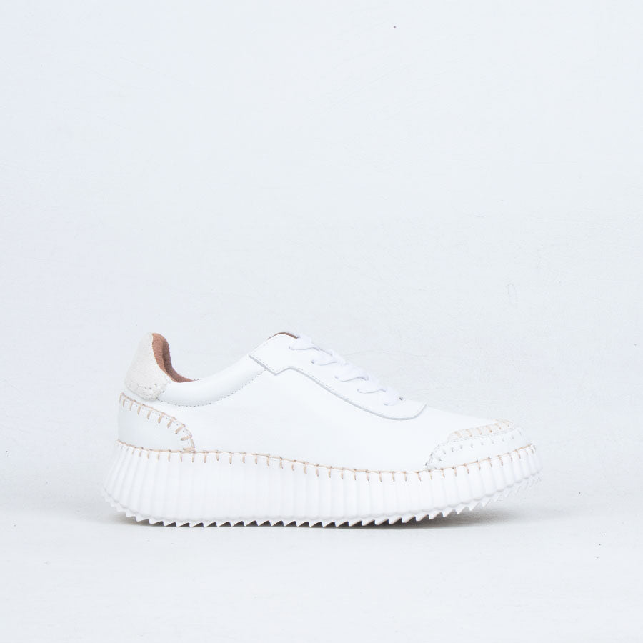 Rizz Sneaker Rizz Sneaker