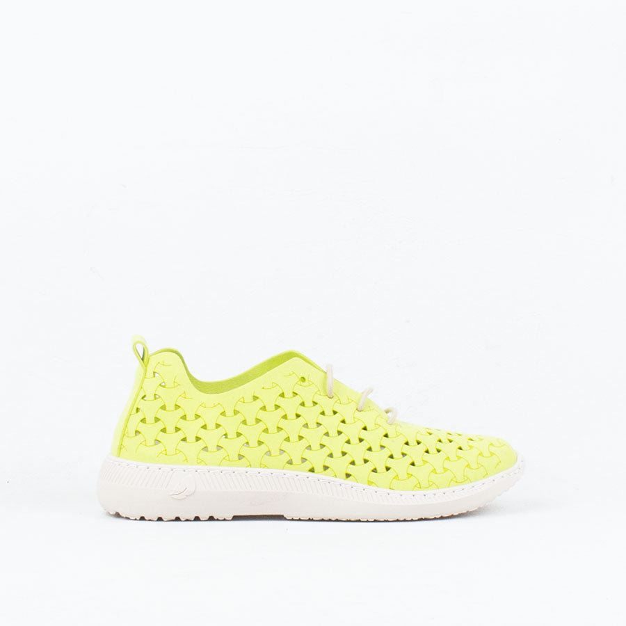 Paloma Sneaker Paloma Sneaker