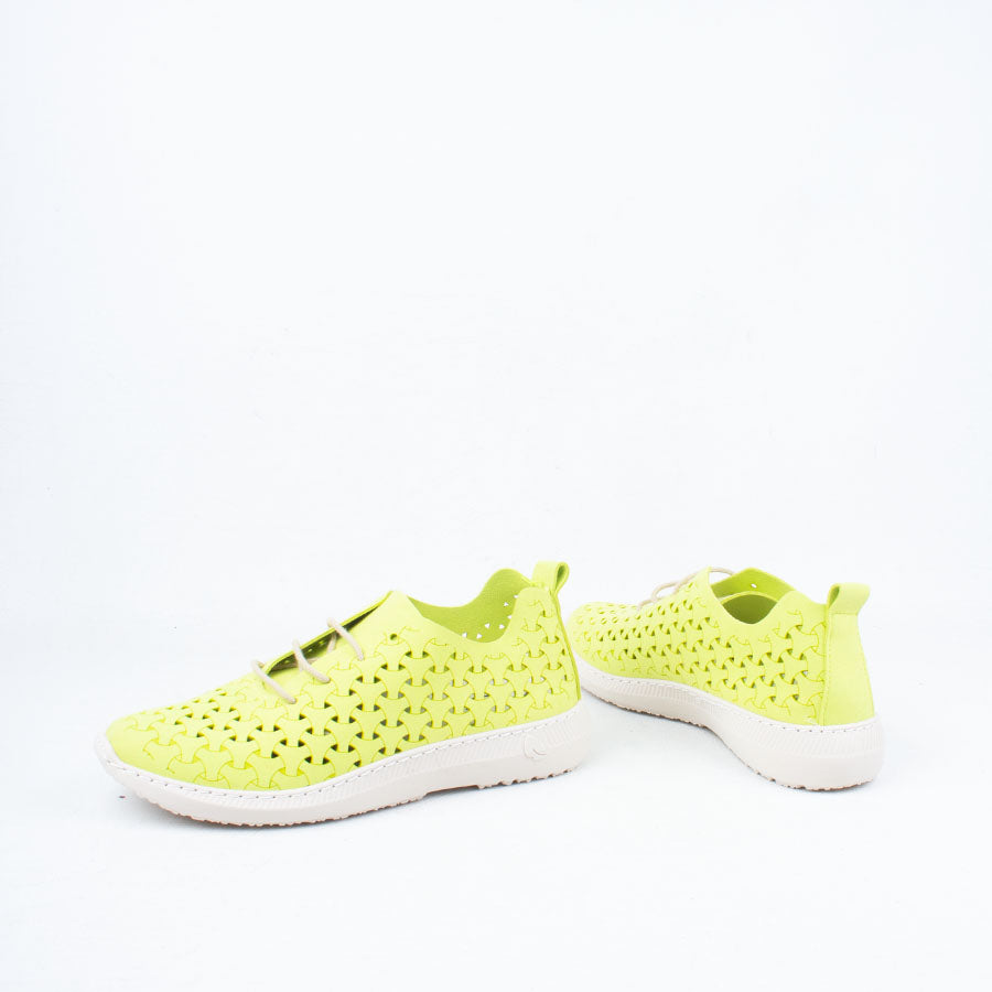 Paloma Sneaker Paloma Sneaker
