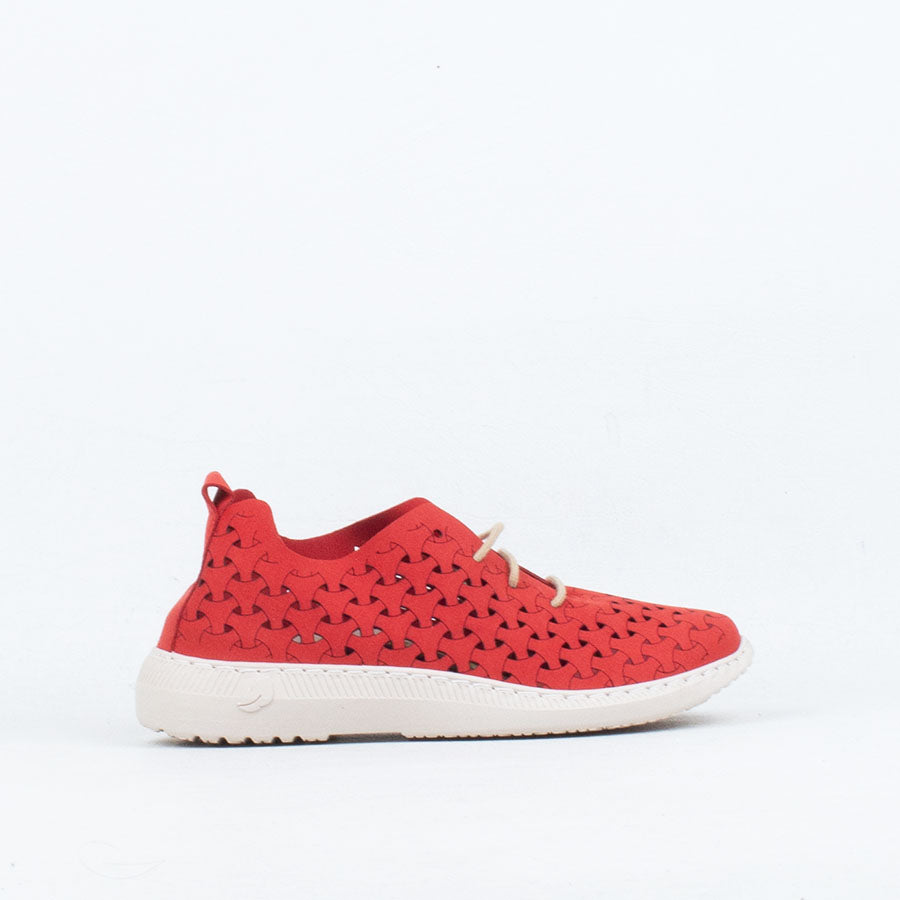 Paloma Sneaker Paloma Sneaker