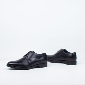 Nimbus Derby Lace