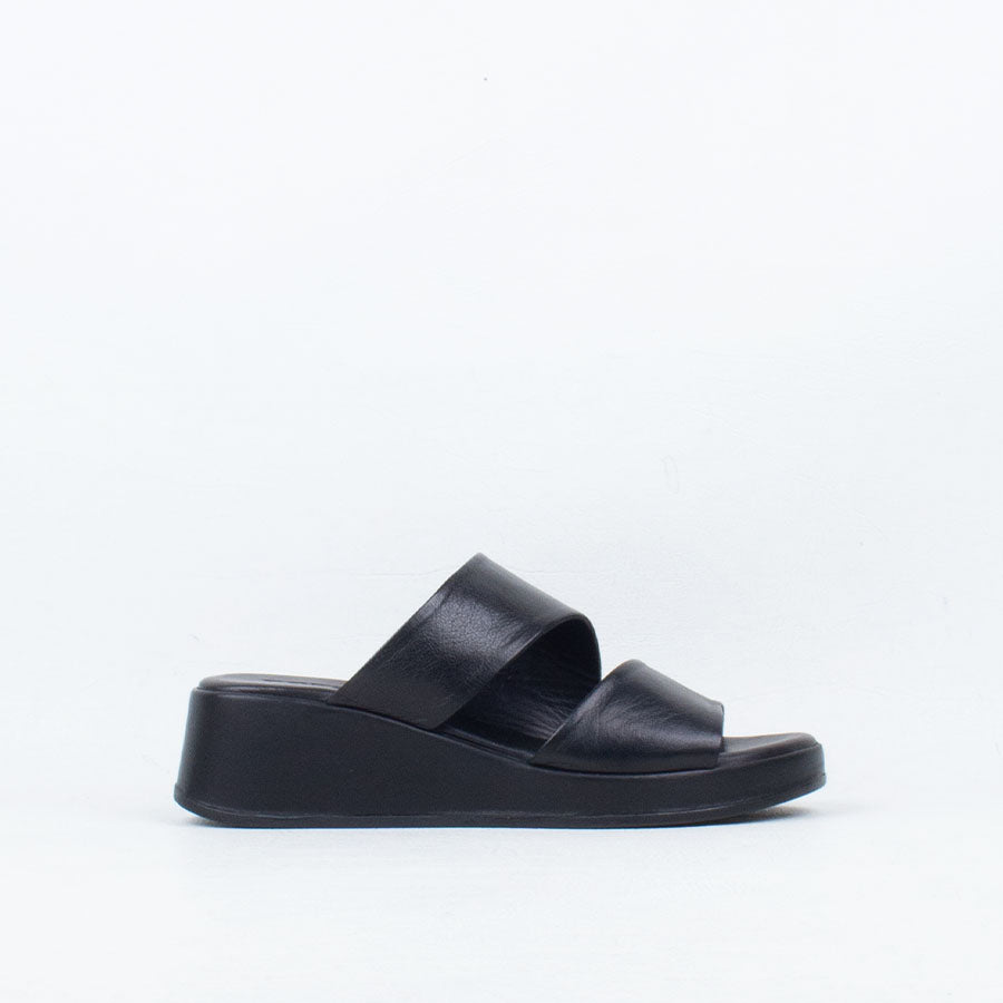 Parisa Slide