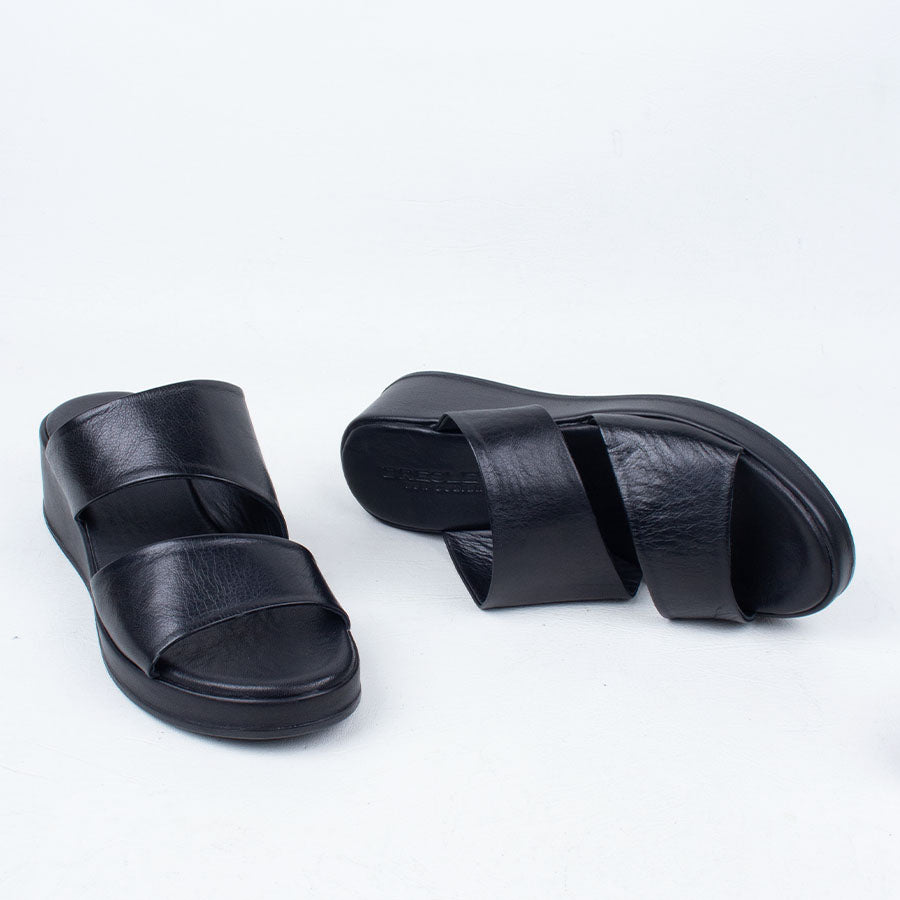 Parisa Slide