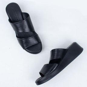 Parisa Slide