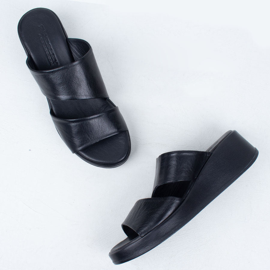 Parisa Slide