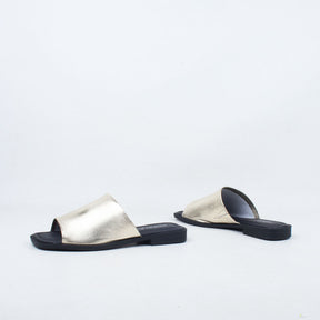 Sooty Slide