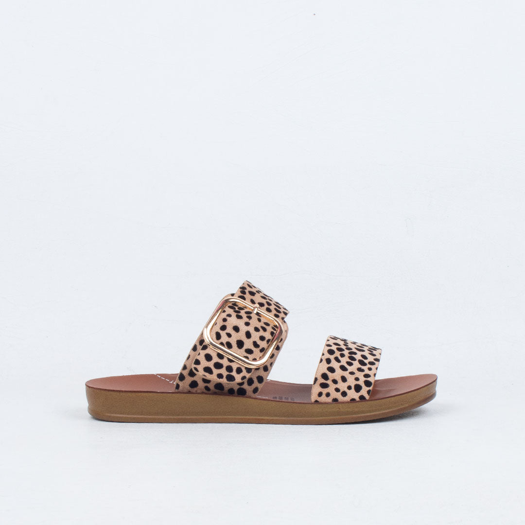 Doti Slide