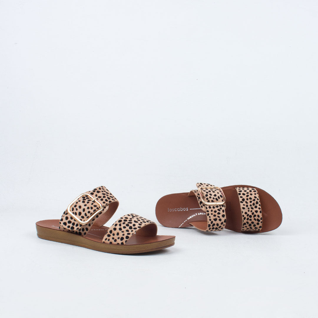 Doti Slide