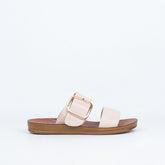 Doti Slide