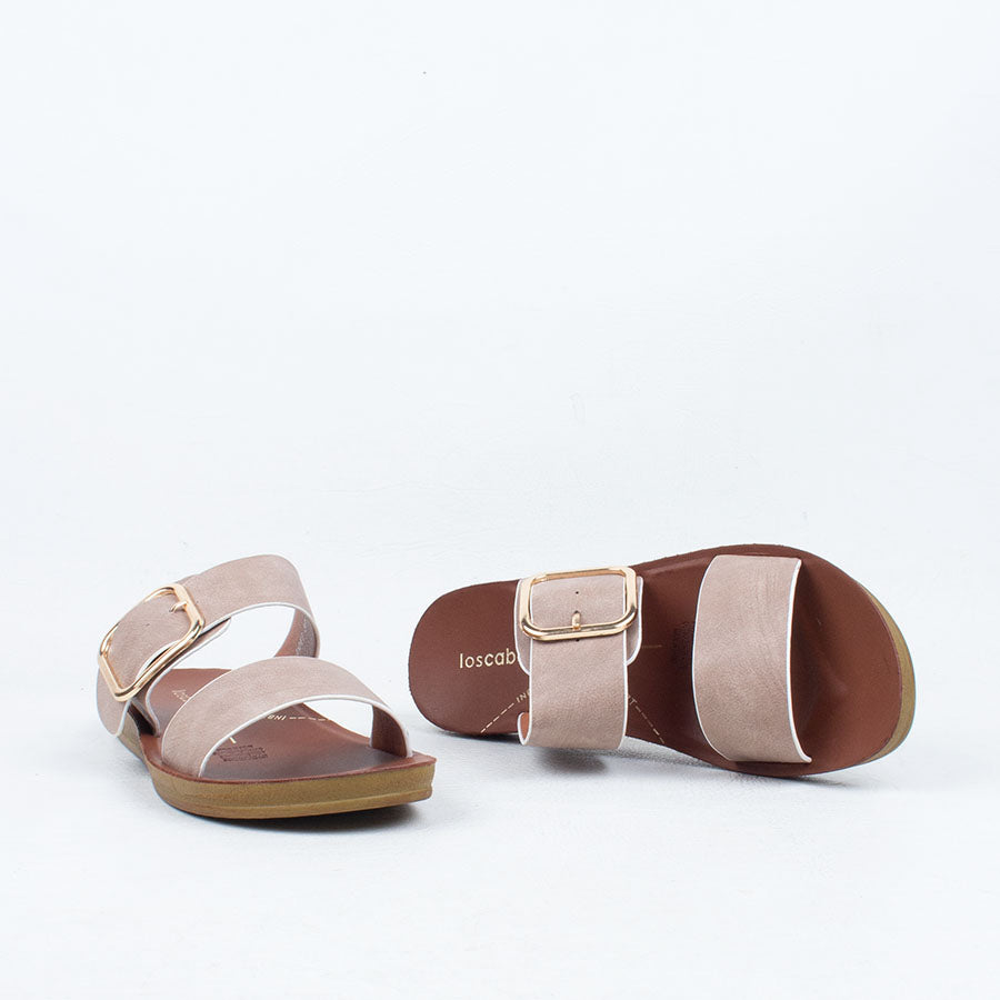 Doti Slide
