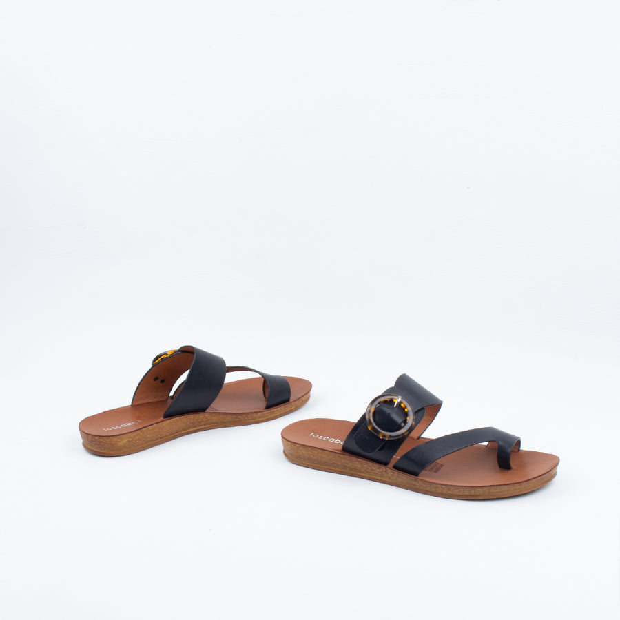 Dotsie Slide