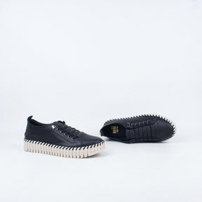 Sorrell Sneaker