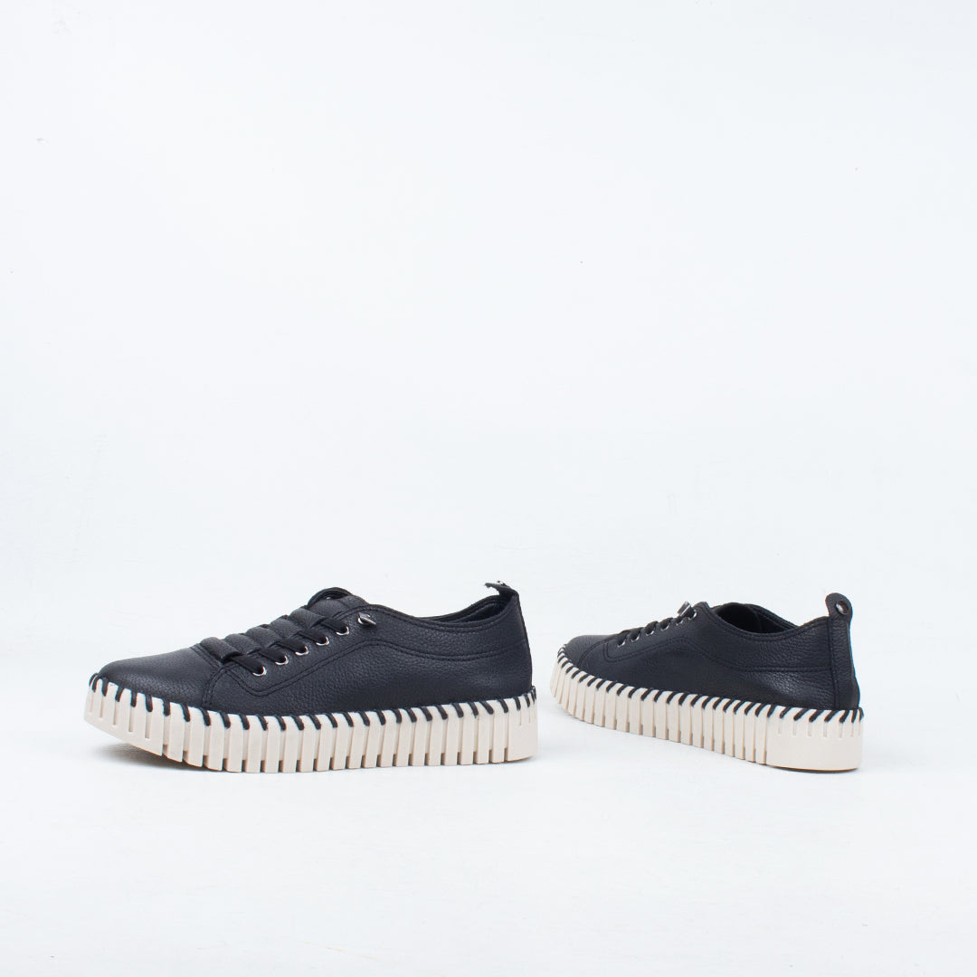 Sorrell Sneaker