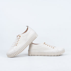 Sorrell Sneaker